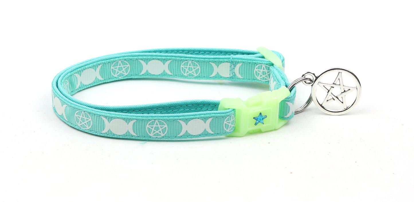 Witch's Familiar on Aqua Cat Collar-4