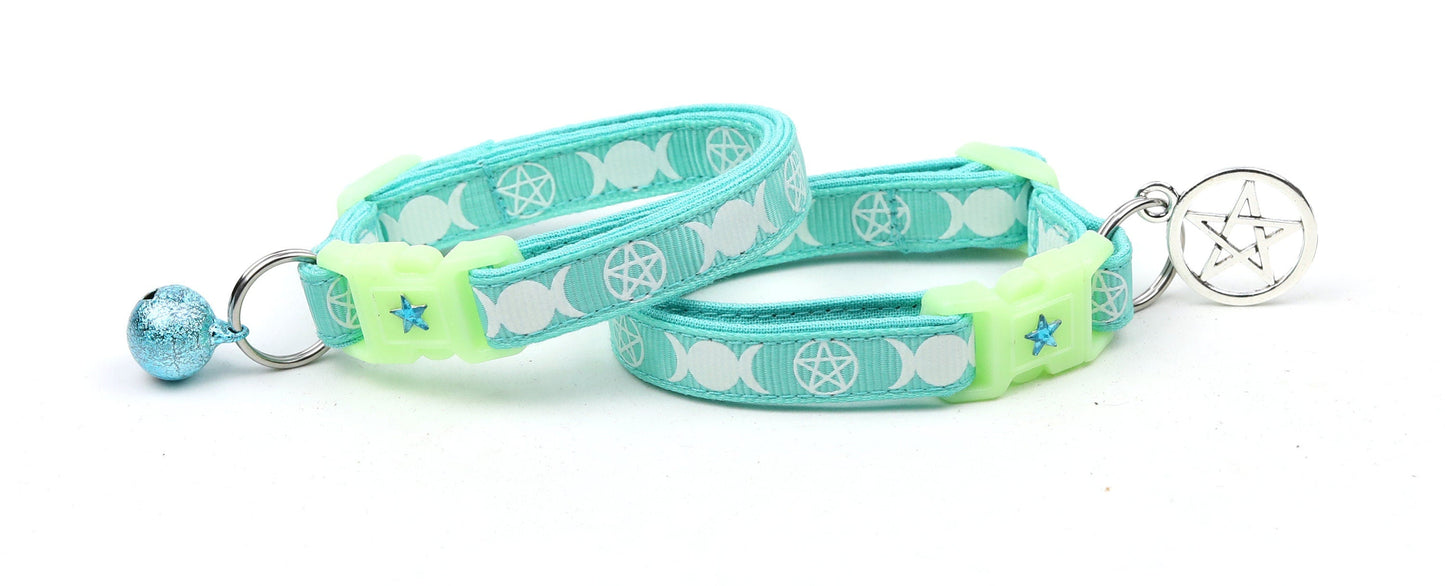 Witch's Familiar on Aqua Cat Collar-2