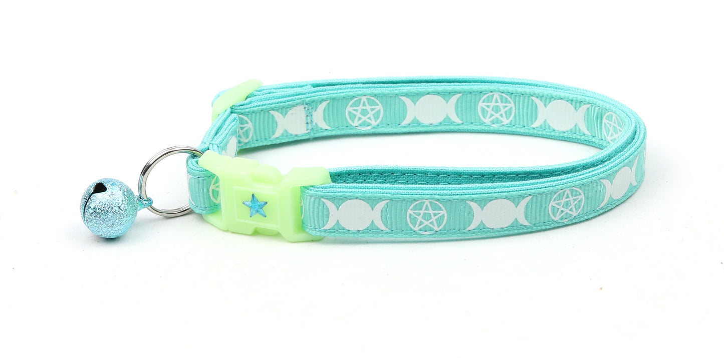 Witch's Familiar on Aqua Cat Collar-3