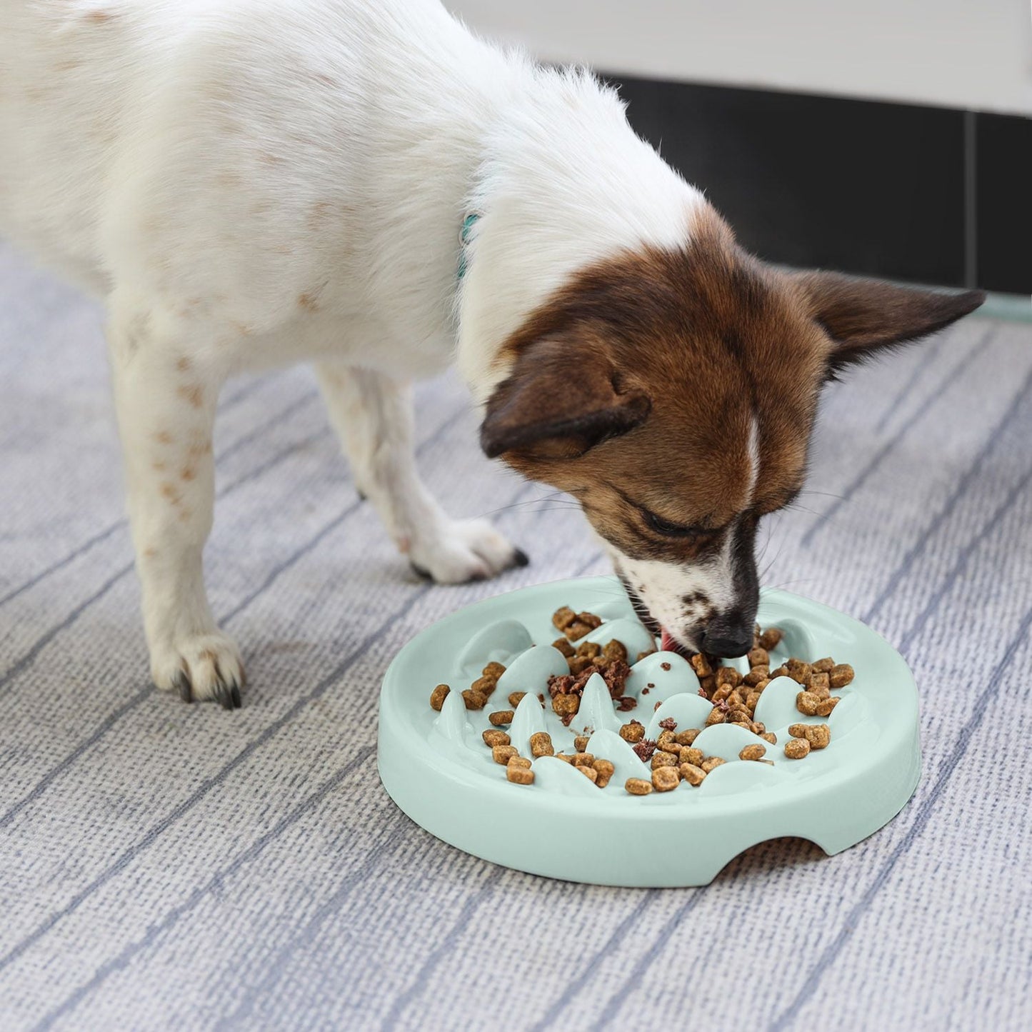 More Style Dog Bowl Anti Choke Dog Feeding Food Bowls Puppy Slow Eating Dog Bowls Feeder Dish Pet Bowl Pet Supplies-3
