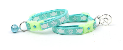 Witch's Familiar on Aqua Cat Collar-2