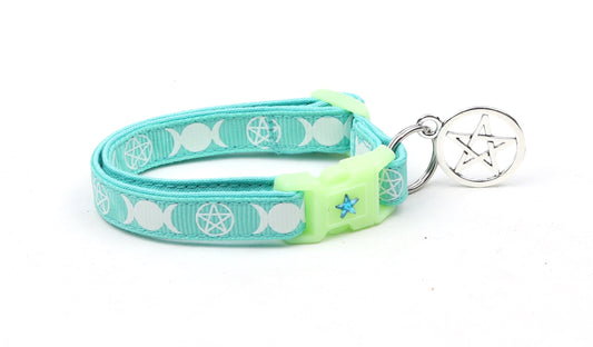 Witch's Familiar on Aqua Cat Collar-1