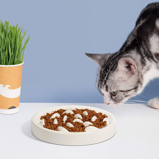 More Style Dog Bowl Anti Choke Dog Feeding Food Bowls Puppy Slow Eating Dog Bowls Feeder Dish Pet Bowl Pet Supplies-0