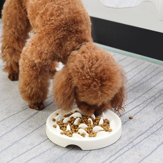More Style Dog Bowl Anti Choke Dog Feeding Food Bowls Puppy Slow Eating Dog Bowls Feeder Dish Pet Bowl Pet Supplies-1